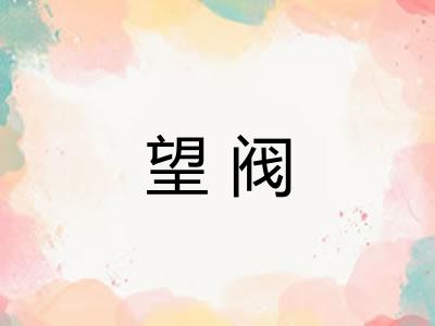 望阀