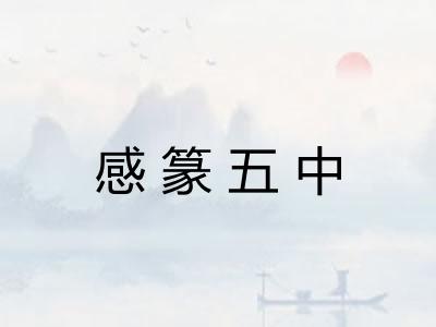 感篆五中