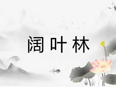阔叶林