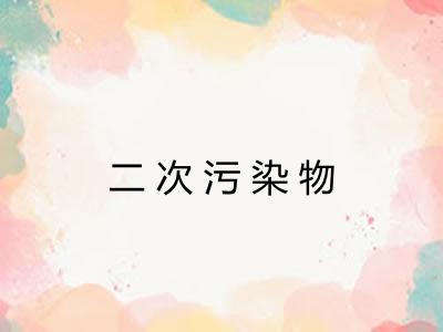 二次污染物