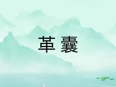 革囊