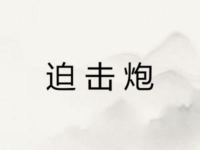 迫击炮 迫击炮