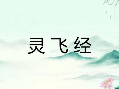 灵飞经