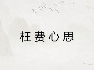 枉费心思 枉费心思