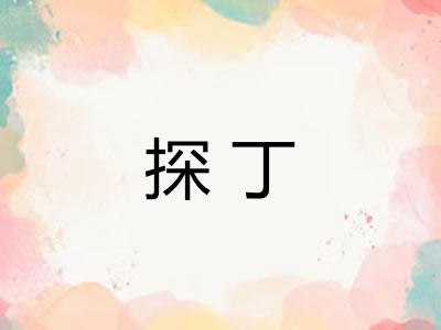 探丁