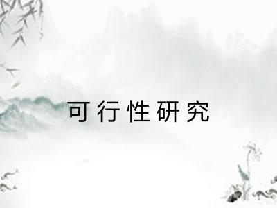 可行性研究 可行性研究