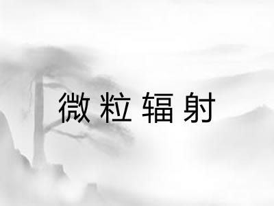 微粒辐射 微粒辐射