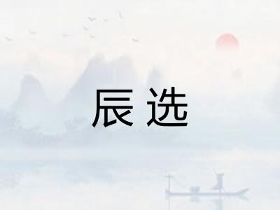辰选