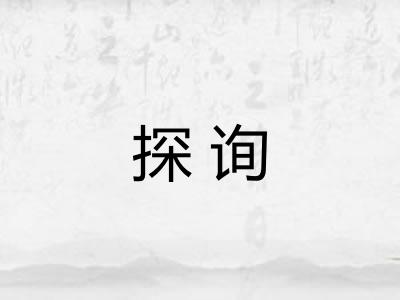 探询 探询
