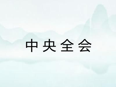 中央全会