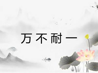 万不耐一