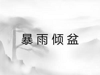 暴雨倾盆 暴雨倾盆