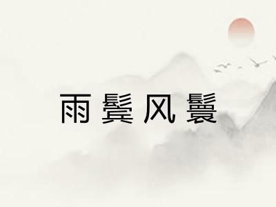 雨鬓风鬟
