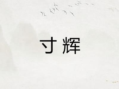 寸辉