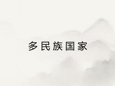 多民族国家 多民族国家