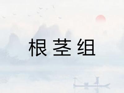 根茎组