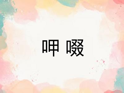 呷啜