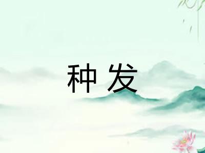 种发