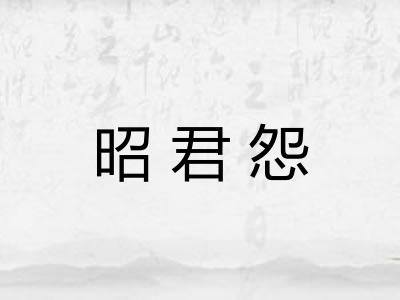 昭君怨