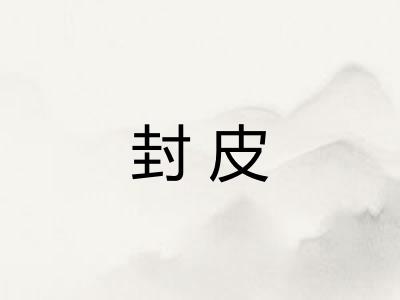 封皮