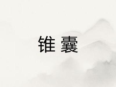 锥囊