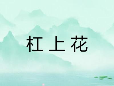 杠上花