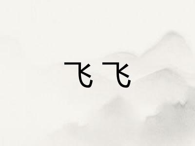 飞飞