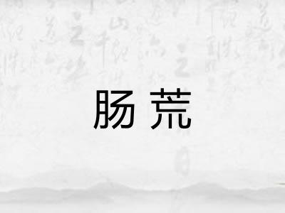 肠荒