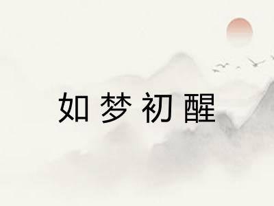 如梦初醒