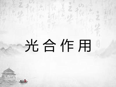 光合作用