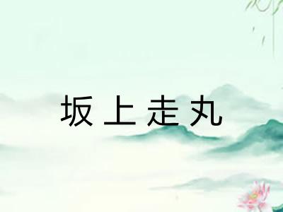坂上走丸