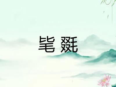 毞毲