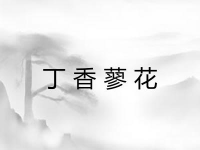 丁香蓼花