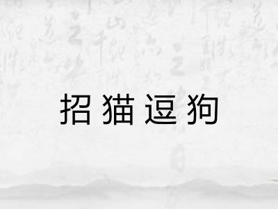 招猫逗狗