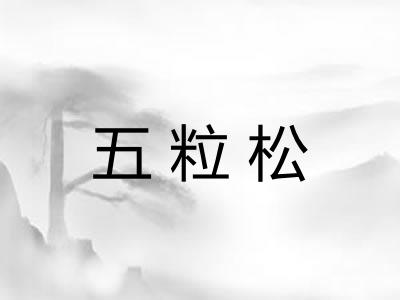 五粒松