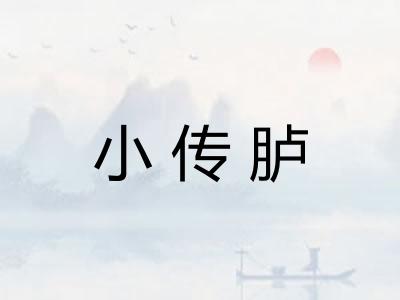 小传胪