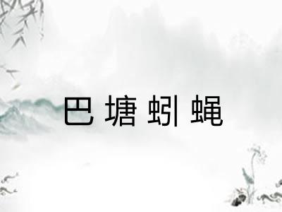 巴塘蚓蝇