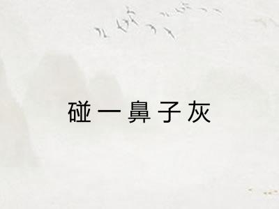 碰一鼻子灰