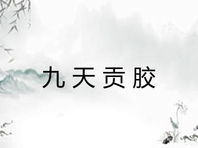 九天贡胶 九天贡胶