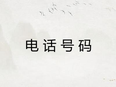 电话号码 电话号码