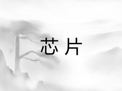 芯片