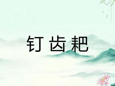 钉齿耙