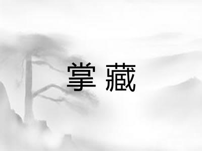 掌藏