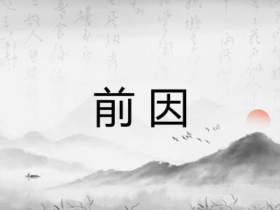 前因