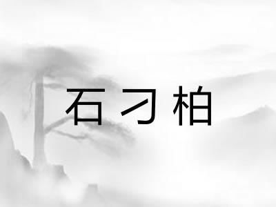 石刁柏