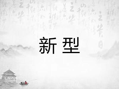 新型 新型