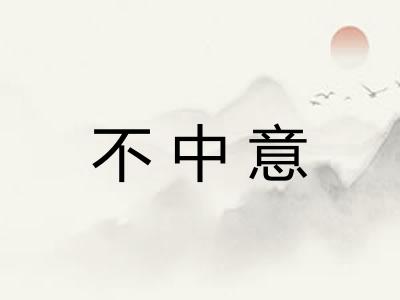 不中意