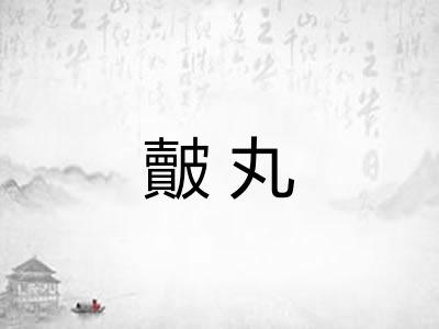 皾丸