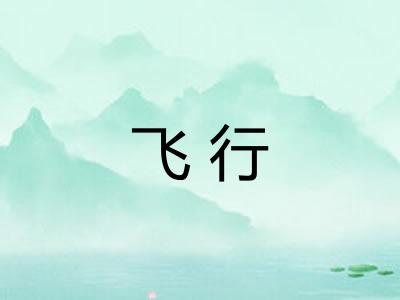 飞行 飞行