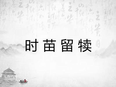 时苗留犊 时苗留犊